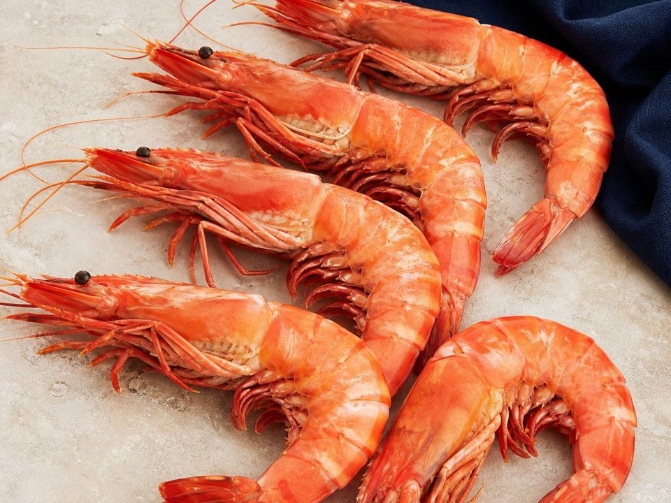 Extra-Large Cooked Prawns wholesale product